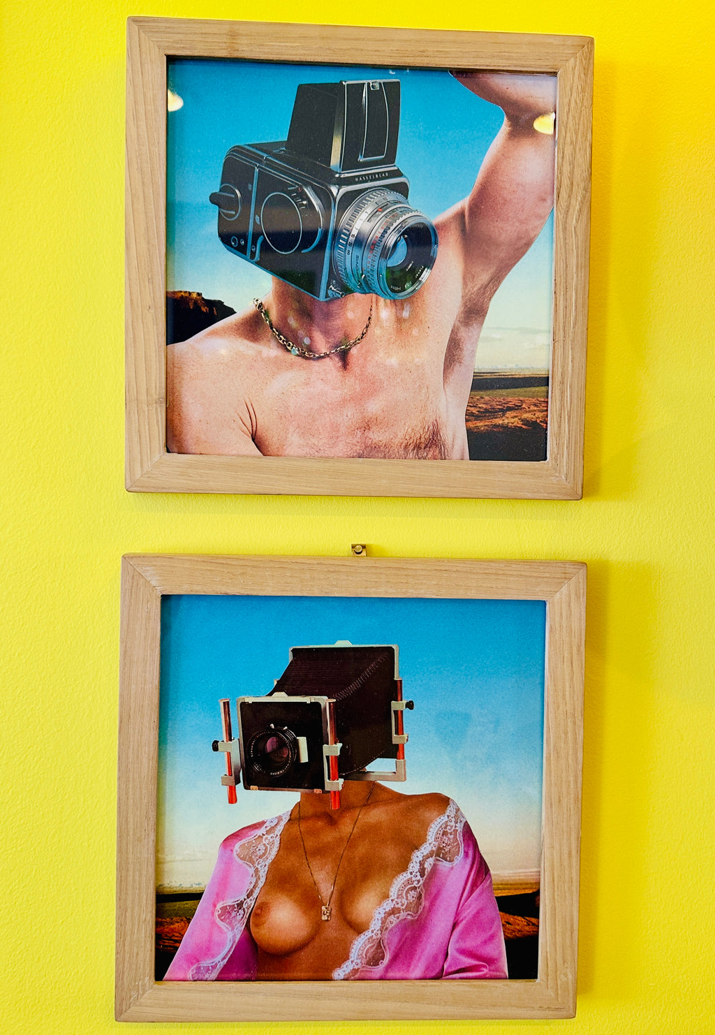 Diptyque "Santa Barbara Her & Him" de Videophage (Thomas Fage) Œuvre orginale.