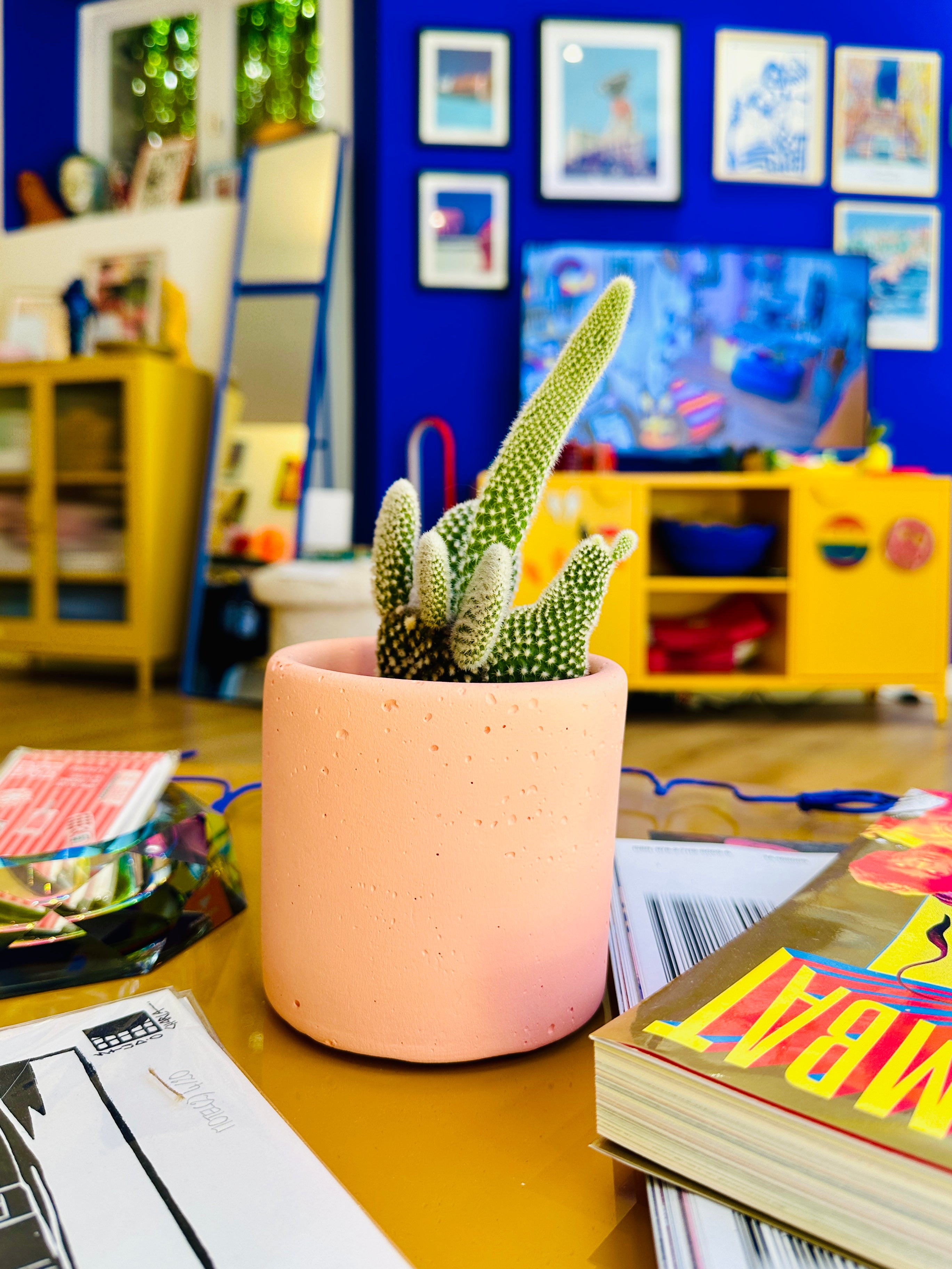 Les caches pots ultra color made in Marseille.