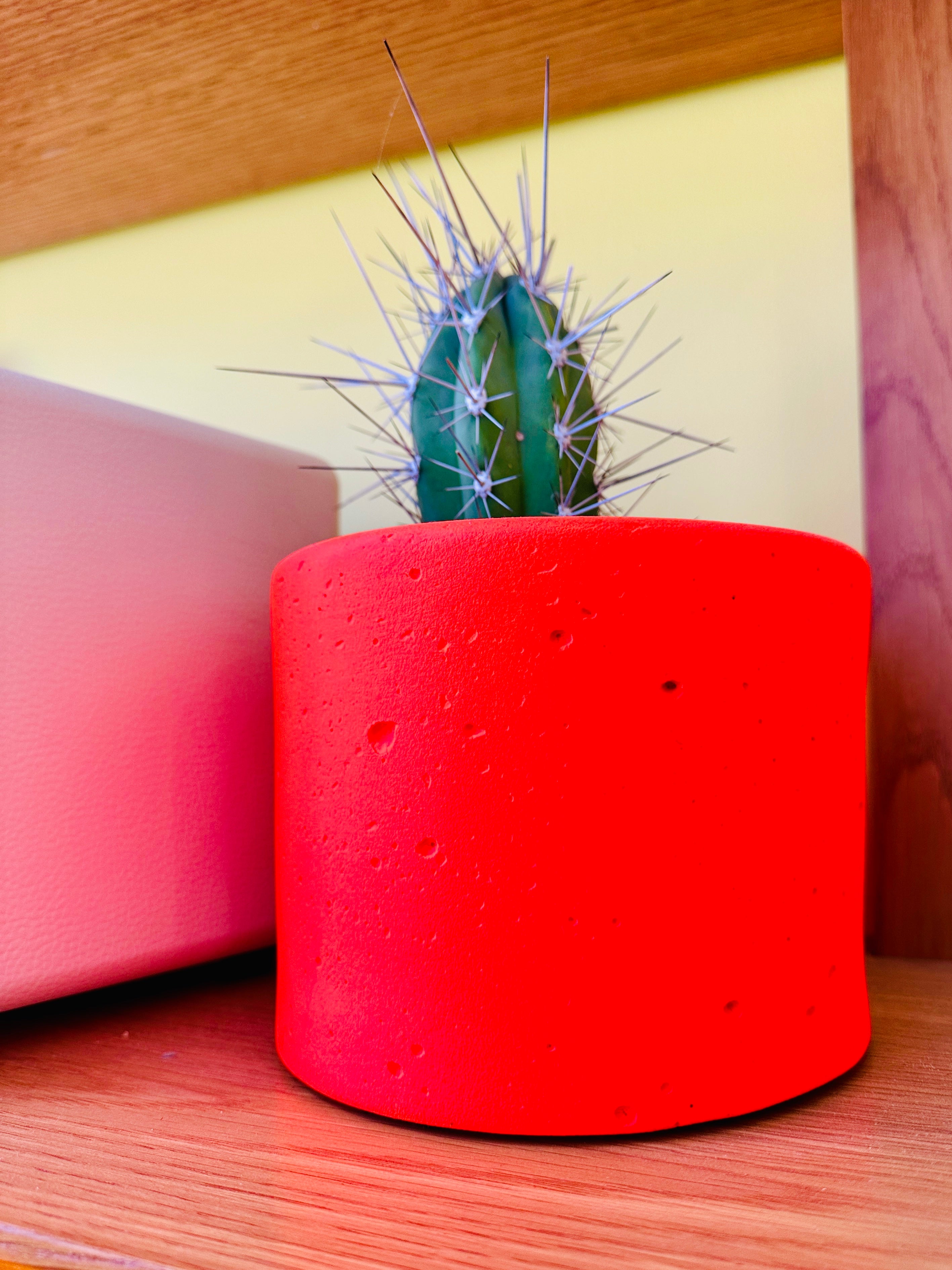 Les caches pots ultra color made in Marseille.