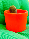 Les caches pots ultra color made in Marseille.
