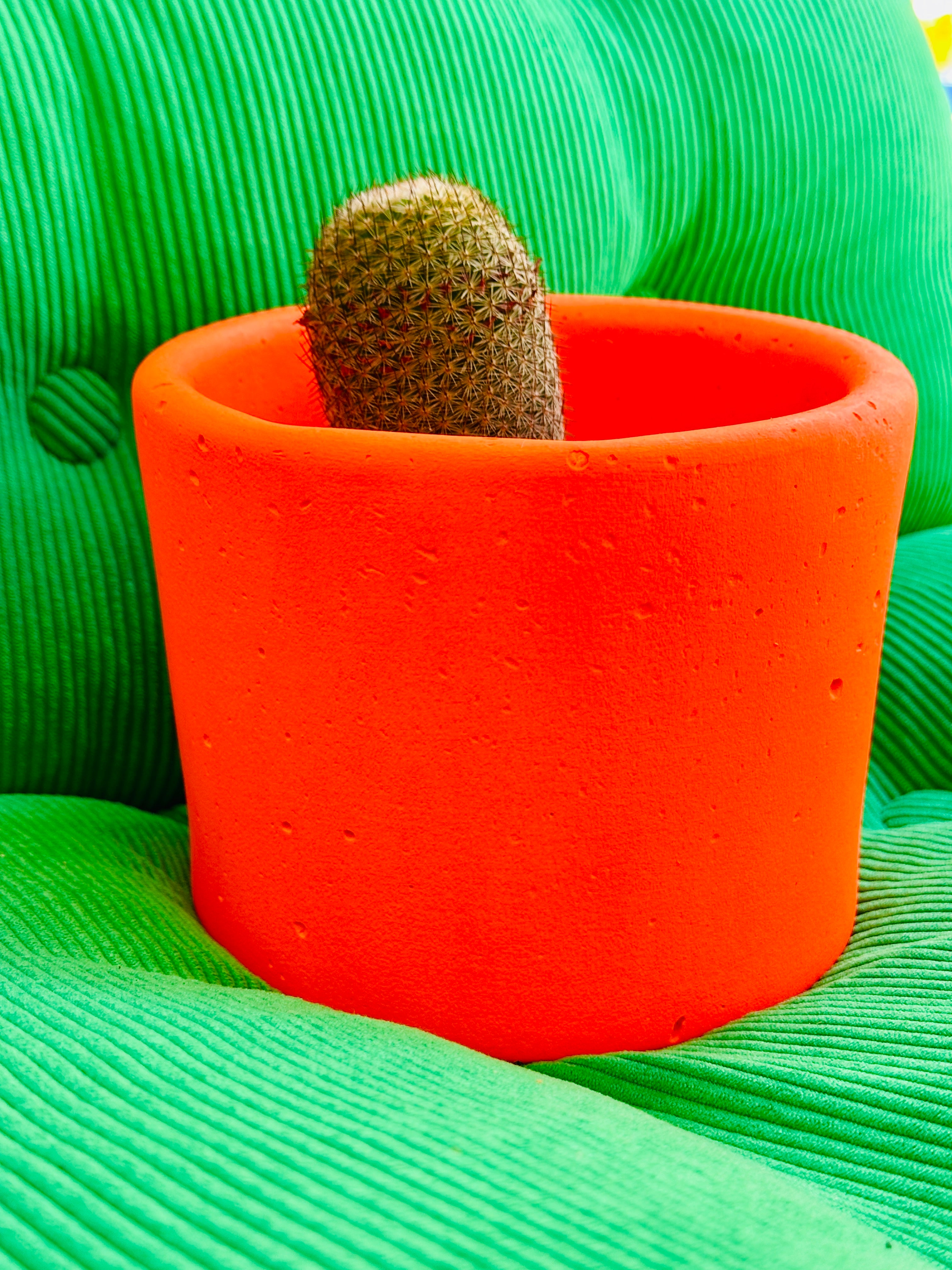 Les caches pots ultra color made in Marseille.