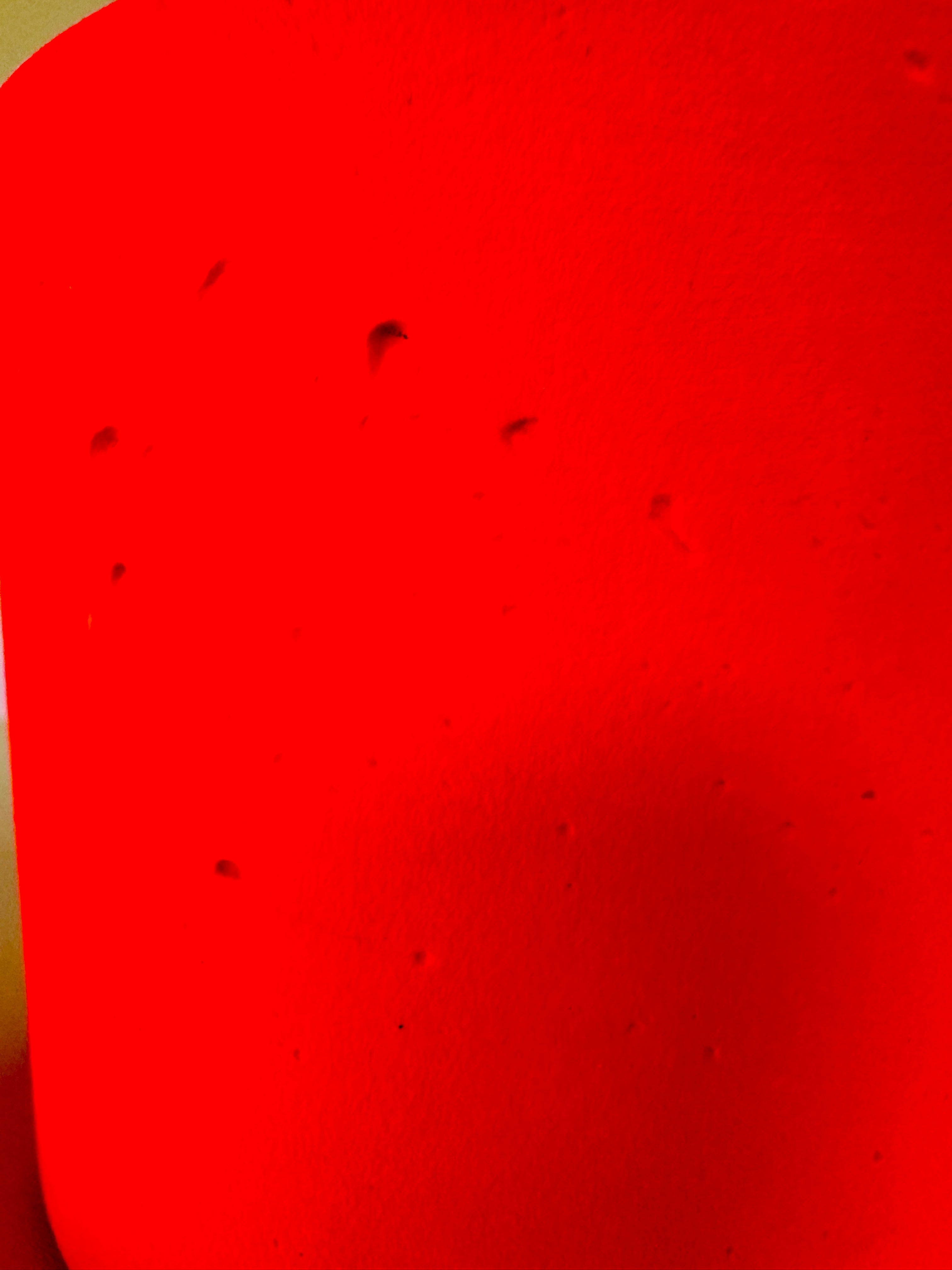 Les caches pots ultra color made in Marseille.